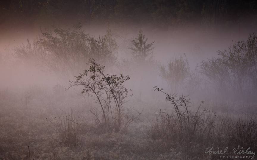 Morning-fog-landscape-AurelVirlan-photography-20
