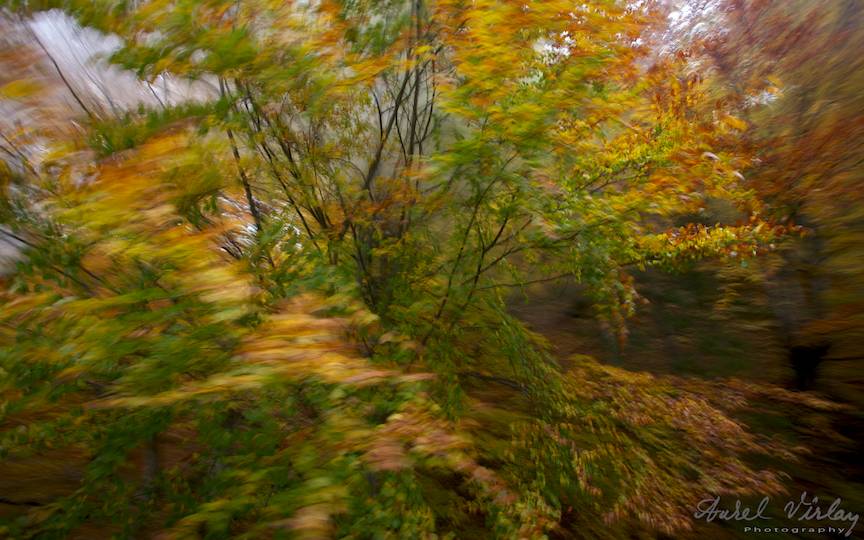 Mirajul-miscarii-in-fotografie_Travel-photography-Aurel-Virlan-peisaje-frunzele-galbene-verde-maronii